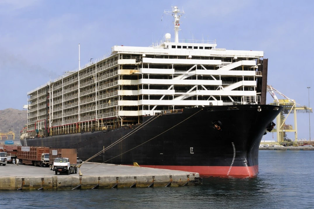 barco-ganado